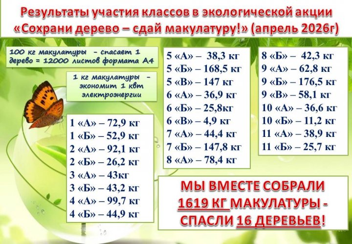 «Сдай макулатуру — спаси дерево»!